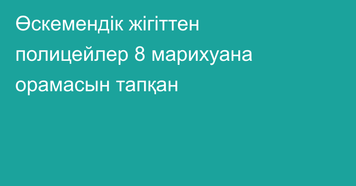 Өскемендік жігіттен полицейлер 8 марихуана орамасын тапқан