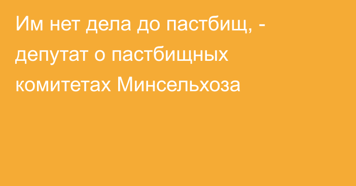 Им нет дела до пастбищ, - депутат о пастбищных комитетах  Минсельхоза