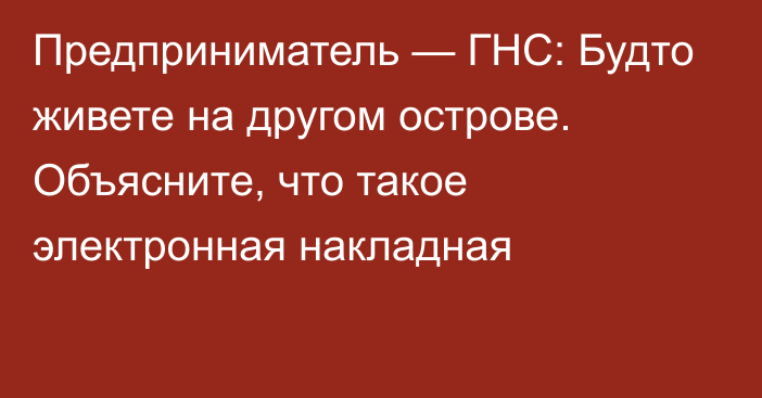 Предприниматель — ГНС: Будто живете на другом острове. Объясните, что такое электронная накладная