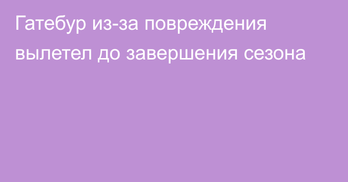 Гатебур из-за повреждения вылетел до завершения сезона