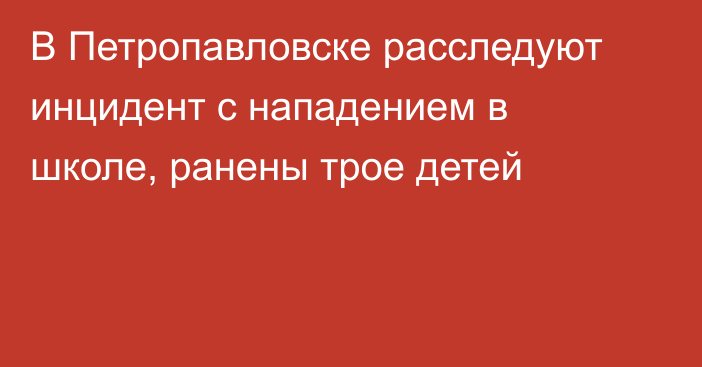 В Петропавловске расследуют инцидент с нападением в школе, ранены трое детей