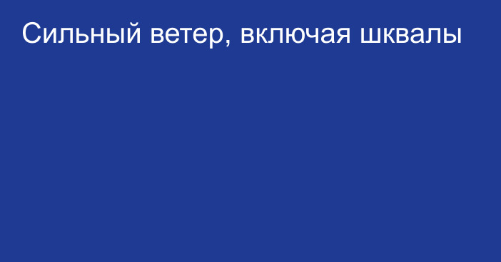 Сильный ветер, включая шквалы