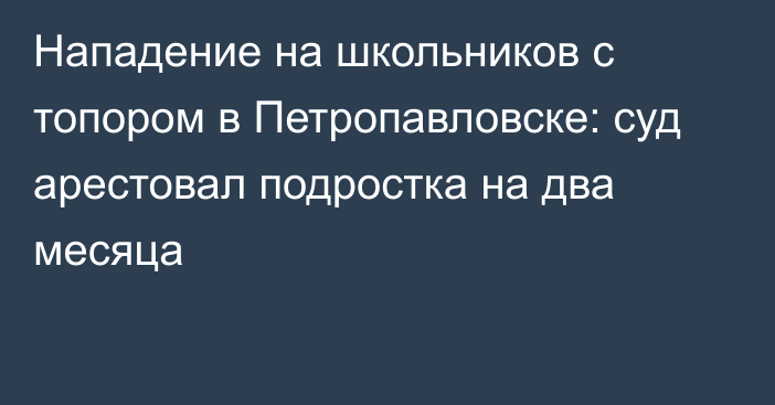 Нападение на школьников с топором в Петропавловске: суд арестовал подростка на два месяца