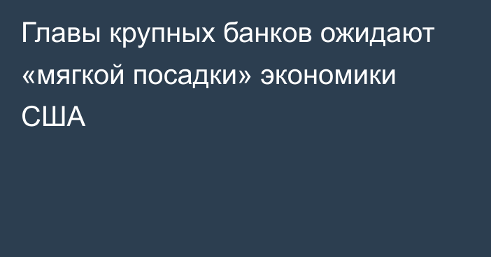 Главы крупных банков ожидают «мягкой посадки» экономики США