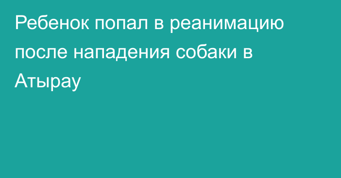 Ребенок попал в реанимацию после нападения собаки в Атырау