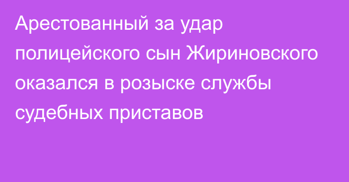 Арестованный за удар полицейского сын Жириновского оказался в розыске службы судебных приставов