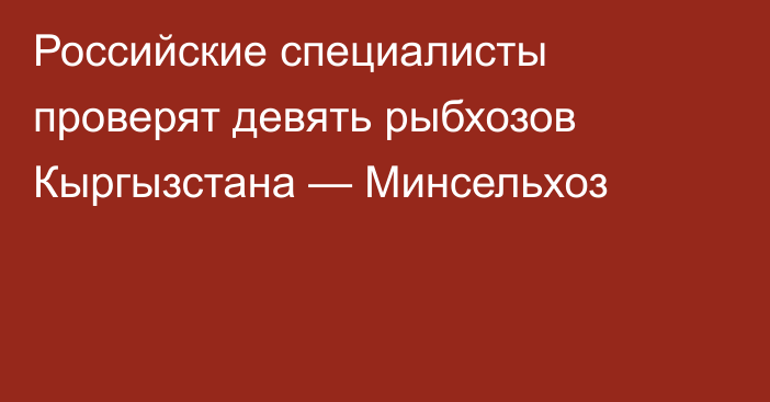 Российские специалисты проверят девять рыбхозов Кыргызстана — Минсельхоз