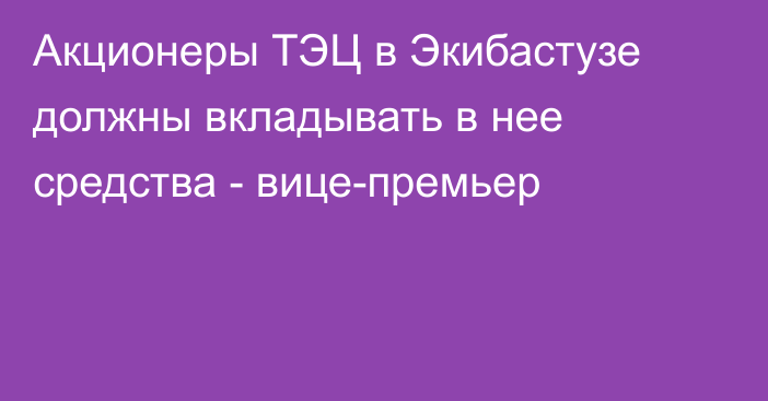 Акционеры ТЭЦ в Экибастузе должны вкладывать в нее средства - вице-премьер