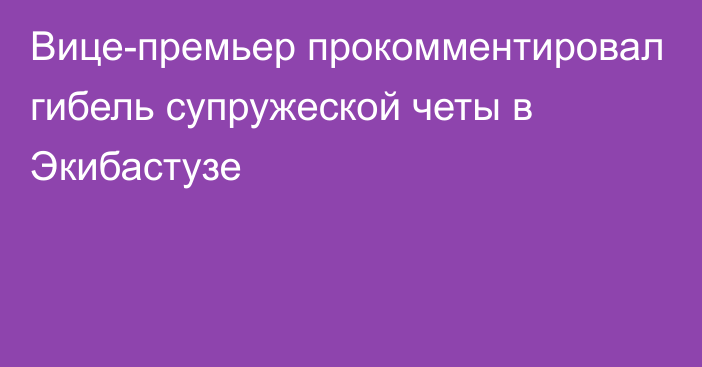 Вице-премьер прокомментировал гибель супружеской четы в Экибастузе