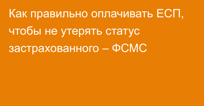 Как правильно оплачивать ЕСП, чтобы не утерять статус застрахованного – ФСМС