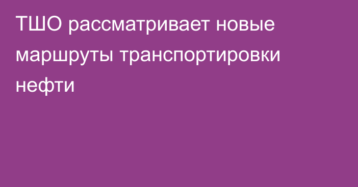 ТШО рассматривает новые маршруты транспортировки нефти