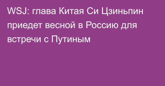 WSJ: глава Китая Си Цзиньпин приедет весной в Россию для встречи с Путиным