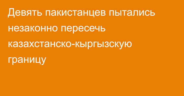 Девять пакистанцев пытались незаконно пересечь казахстанско-кыргызскую границу