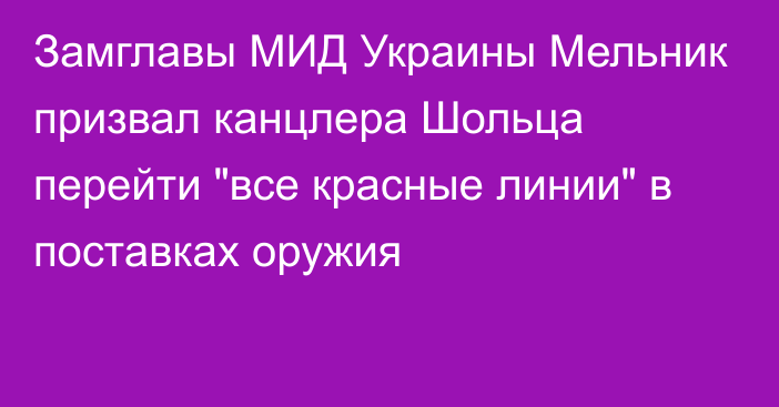 Замглавы МИД Украины Мельник призвал канцлера Шольца перейти 