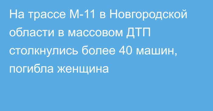 На трассе М-11 в Новгородской области в массовом ДТП столкнулись более 40 машин, погибла женщина