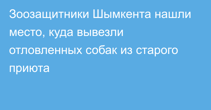 Зоозащитники Шымкента нашли место, куда вывезли отловленных собак из старого приюта