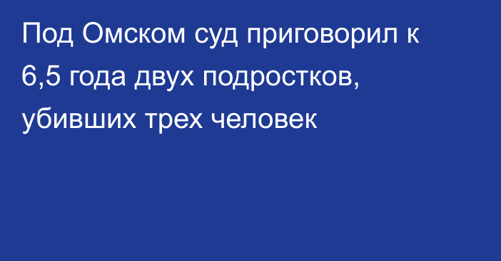 Под Омском суд приговорил к 6,5 года двух подростков, убивших трех человек