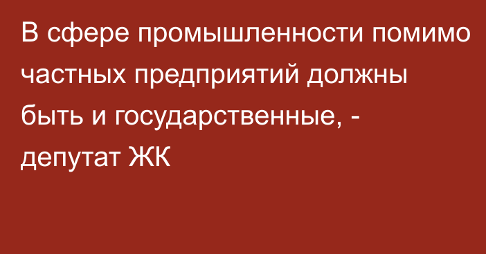 В сфере промышленности помимо частных предприятий должны быть и государственные, - депутат ЖК