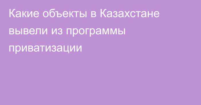 Какие объекты в Казахстане вывели из программы приватизации