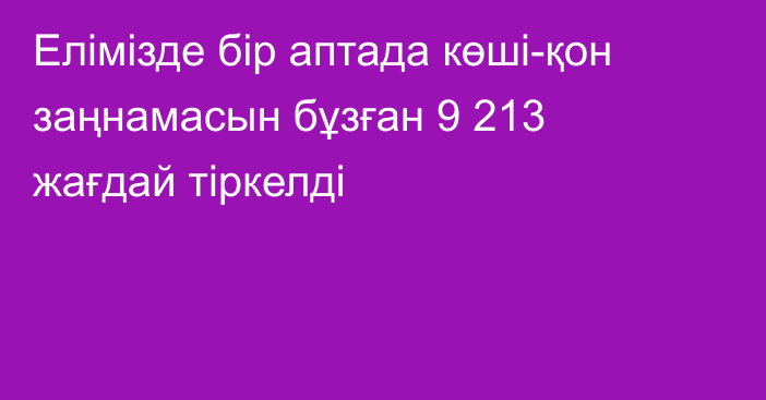 Елімізде бір аптада көші-қон заңнамасын бұзған 9 213 жағдай тіркелді