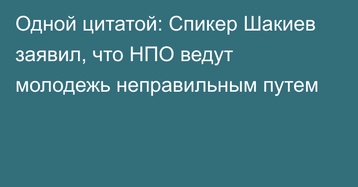 Одной цитатой: Спикер Шакиев заявил, что НПО ведут молодежь неправильным путем