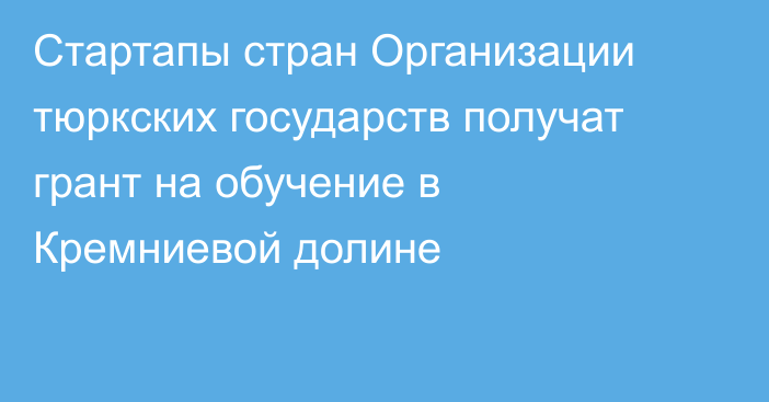 Стартапы стран Организации тюркских государств получат грант на обучение в Кремниевой долине