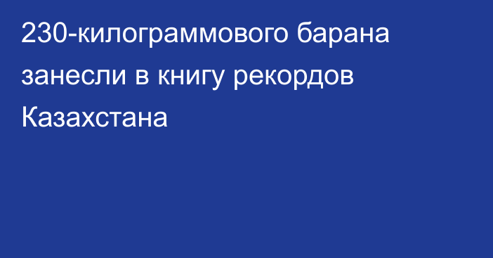 230-килограммового барана занесли в книгу рекордов Казахстана