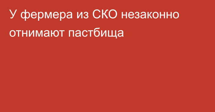 У фермера из СКО незаконно отнимают пастбища   