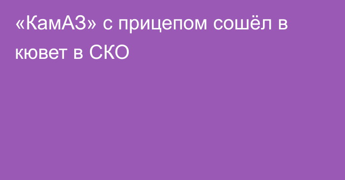 «КамАЗ» с прицепом сошёл в кювет в СКО