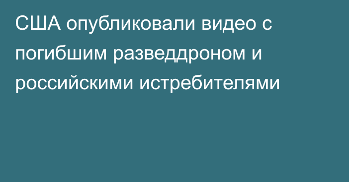 США опубликовали видео с погибшим разведдроном и российскими истребителями