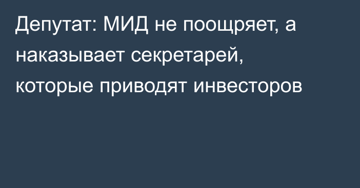 Депутат: МИД не поощряет, а наказывает секретарей, которые приводят инвесторов