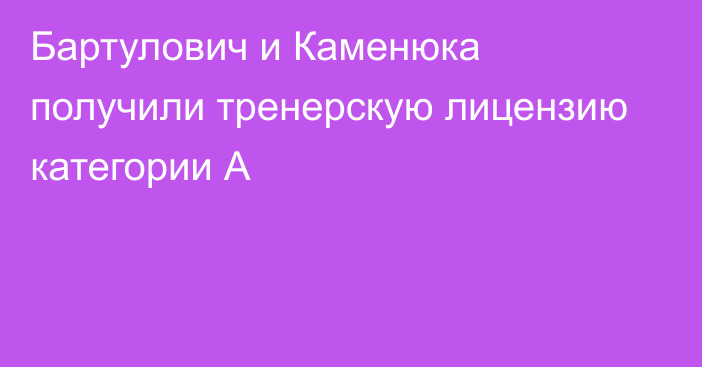 Бартулович и Каменюка получили тренерскую лицензию категории А