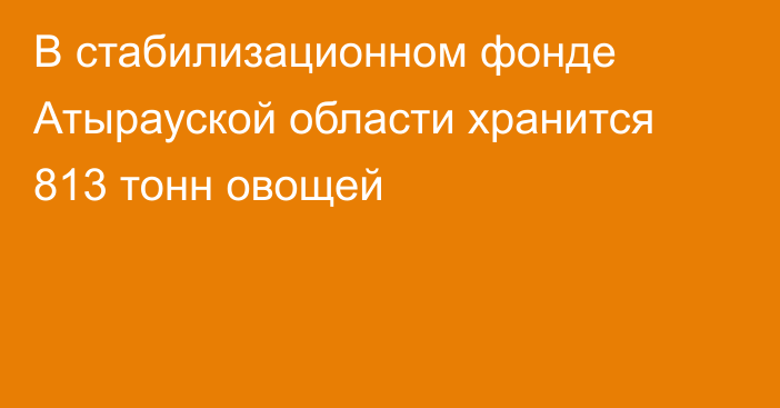 В стабилизационном фонде Атырауской области хранится 813 тонн овощей