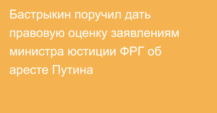 Бастрыкин поручил дать правовую оценку заявлениям министра юстиции ФРГ об аресте Путина