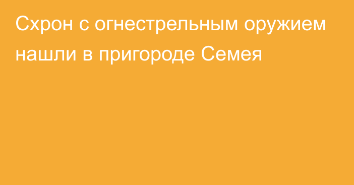 Схрон с огнестрельным оружием нашли в пригороде Семея