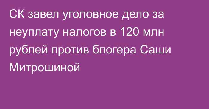 СК завел уголовное дело за неуплату налогов в 120 млн рублей против блогера Саши Митрошиной