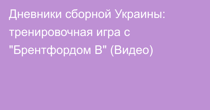 Дневники сборной Украины: тренировочная игра с 