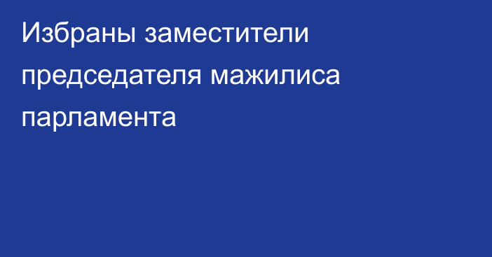 Избраны заместители председателя мажилиса парламента