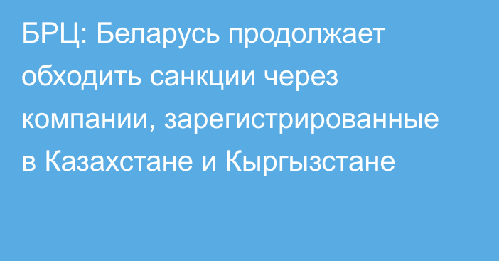 БРЦ: Беларусь продолжает обходить санкции через компании, зарегистрированные в Казахстане и Кыргызстане