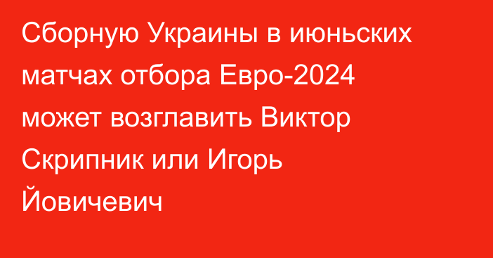 Сборную Украины в июньских матчах отбора Евро-2024 может возглавить Виктор Скрипник или Игорь Йовичевич