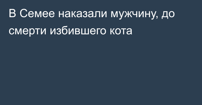 В Семее наказали мужчину, до смерти избившего кота