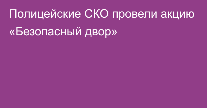 Полицейские СКО провели акцию «Безопасный двор»