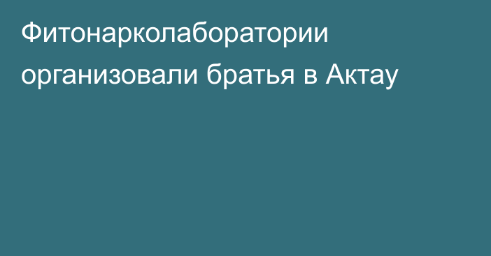 Фитонарколаборатории организовали братья в Актау