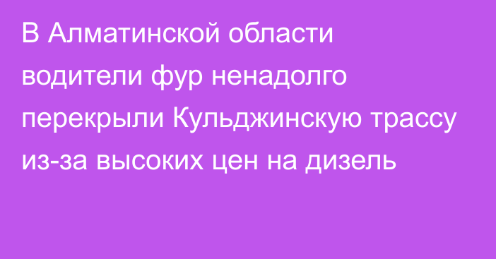 В Алматинской области водители фур ненадолго перекрыли Кульджинскую трассу из-за высоких цен на дизель