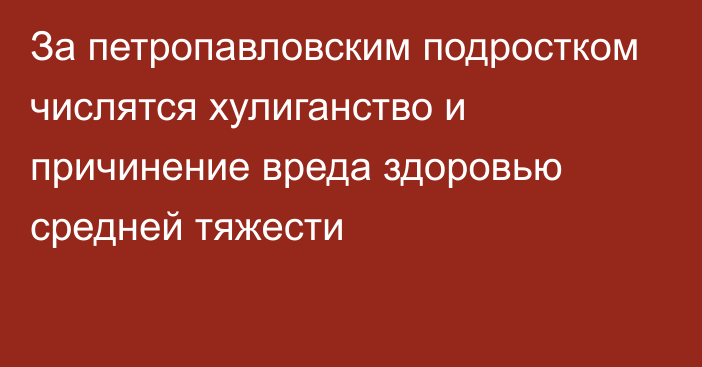 За петропавловским подростком числятся хулиганство и причинение вреда здоровью средней тяжести