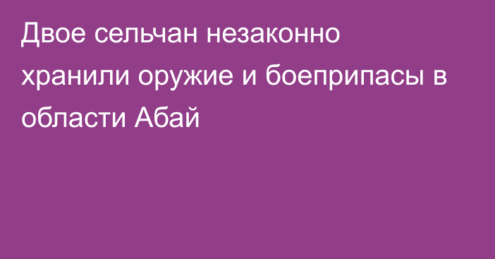 Двое сельчан незаконно хранили оружие и боеприпасы в области Абай