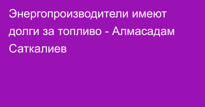 Энергопроизводители имеют долги за топливо - Алмасадам Саткалиев