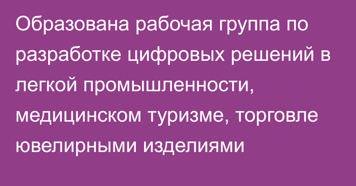 Образована рабочая группа по разработке цифровых решений в легкой промышленности, медицинском туризме, торговле ювелирными изделиями