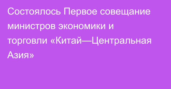 Состоялось Первое совещание министров экономики и торговли «Китай—Центральная Азия»