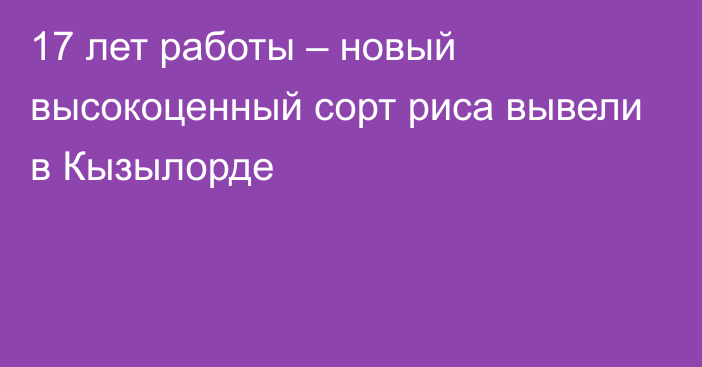 17 лет работы – новый высокоценный сорт риса вывели в Кызылорде